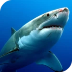 Logo of Sharks Live Wallpaper android Application 